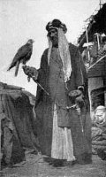 SAQAAR
